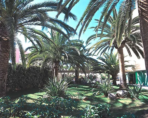 Hotel Palmira Isabela Santa Ponça